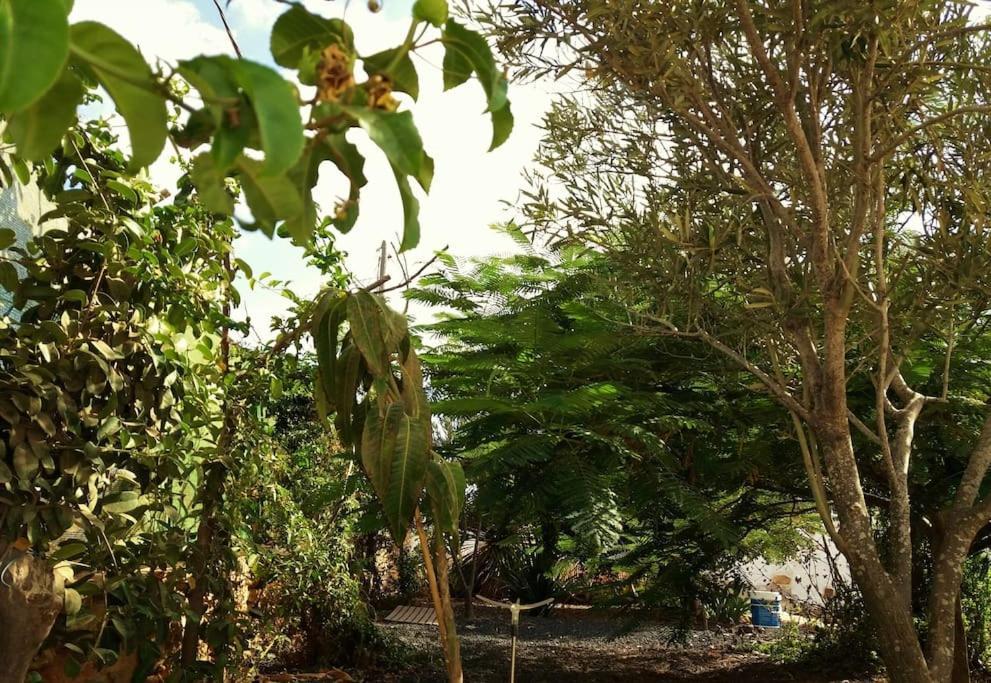 Villa Casa Antigua En El Centro De Fuerteventura Exterior foto